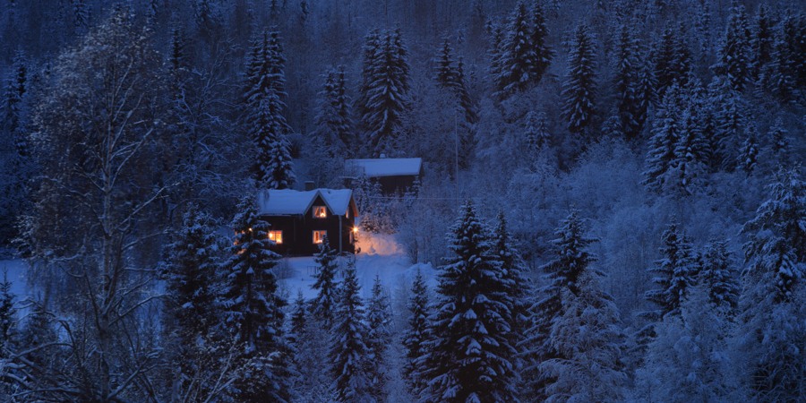 En stuga mitt i en snöig skog.
